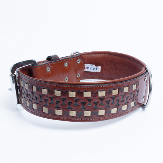 Tulsa Dog Collar