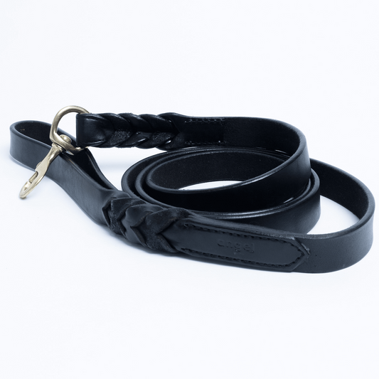 Leather Braided Leash