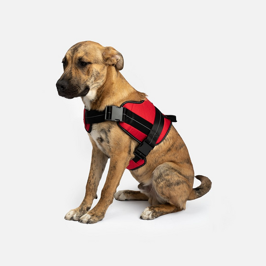 Heavy Duty Harness Red